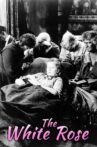 The White Rose Movie Streaming Online