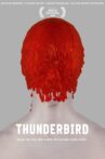 Thunderbird Movie Streaming Online