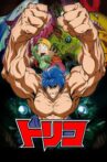 Toriko: Jump Super Anime Tour 2009 Special Movie Streaming Online