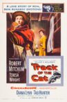 Track of the Cat Movie Streaming Online