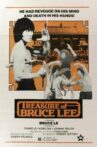 Treasure of Bruce Le Movie Streaming Online