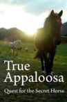True Appaloosa Movie Streaming Online