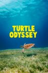 Turtle Odyssey Movie Streaming Online