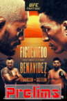 UFC Fight Night 172: Figueiredo vs. Benavidez 2 - Prelims Movie Streaming Online