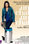 Un chat un chat Movie Streaming Online