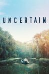 Uncertain Movie Streaming Online