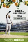 Under The Grapefruit Tree: The CC Sabathia Story Movie Streaming Online