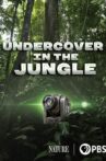 Undercover in the Jungle Movie Streaming Online
