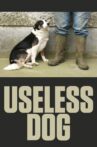 Useless Dog Movie Streaming Online