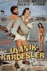 Uyanık Kardeşler Movie Streaming Online