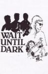 Wait Until Dark Movie Streaming Online