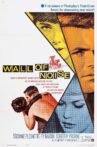 Wall of Noise Movie Streaming Online