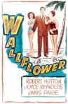 Wallflower Movie Streaming Online
