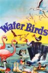Water Birds Movie Streaming Online