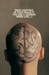 What Happens In Your Brain If You See a German Word Like...? Movie Streaming Online