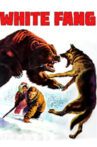 White Fang Movie Streaming Online