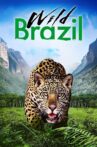 Wild Brazil Movie Streaming Online