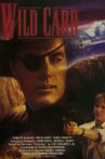 Wild Card Movie Streaming Online