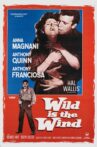 Wild Is the Wind Movie Streaming Online