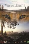 Wildernis in Drenthe Movie Streaming Online