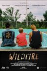 Wildfire Movie Streaming Online