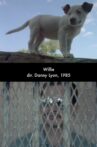 Willie Movie Streaming Online