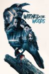 Witches in the Woods Movie Streaming Online