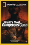 World's Most Dangerous Gang Movie Streaming Online