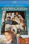 Yavrularım Movie Streaming Online
