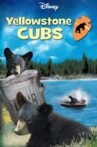 Yellowstone Cubs Movie Streaming Online