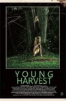 Young Harvest Movie Streaming Online