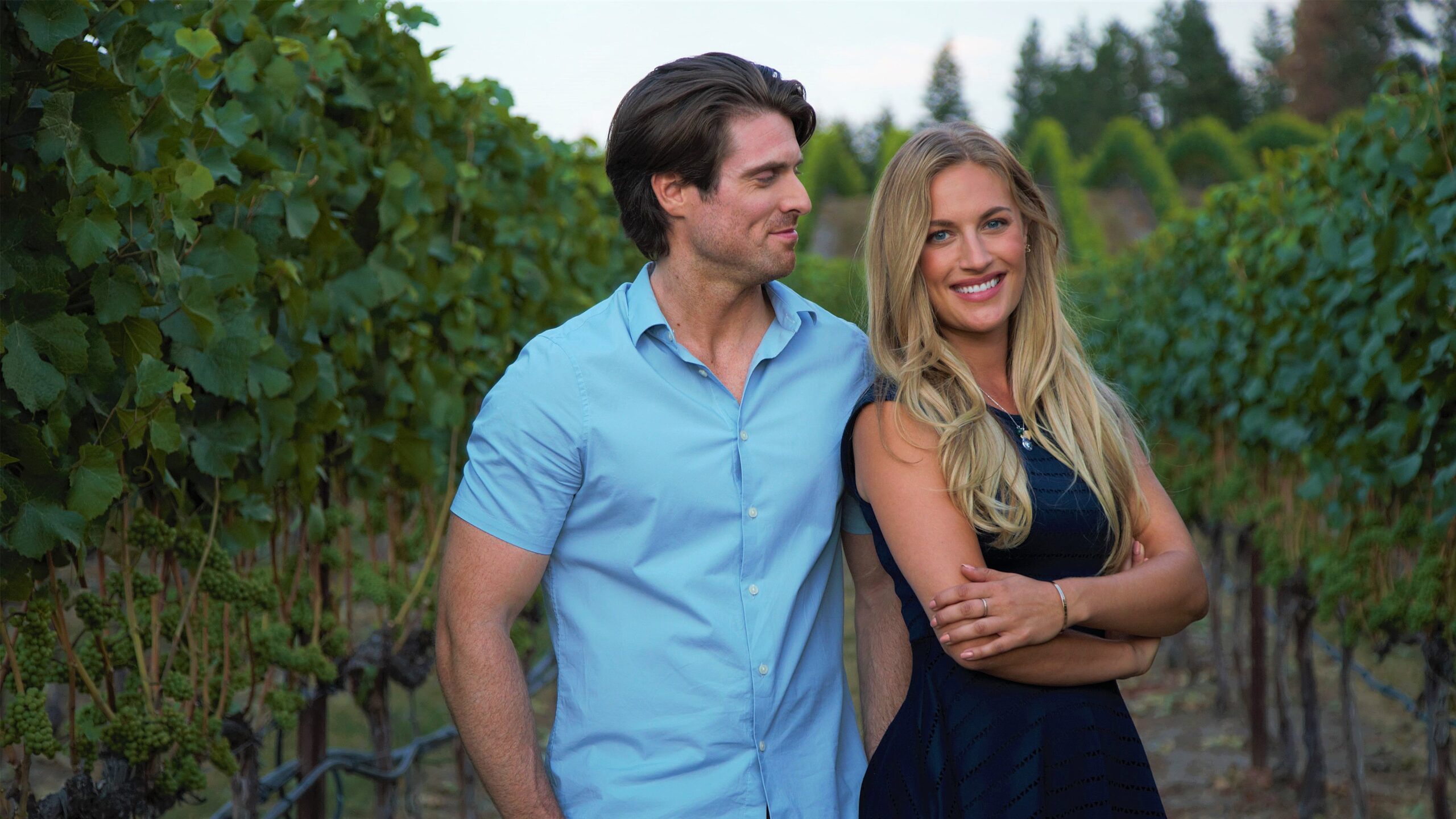A Vineyard Romance Movie Streaming Online Watch