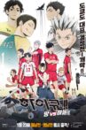 Haikyuu!!-Land vs Sky Movie Streaming Online