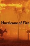 Hurricane of Fire Movie Streaming Online
