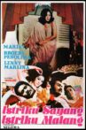 Istriku Sayang Istriku Malang Movie Streaming Online