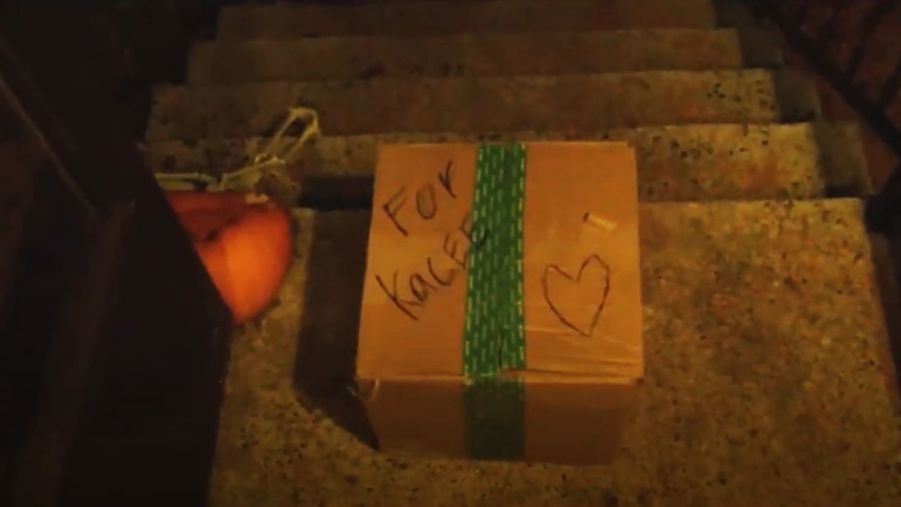 NAME OF ACTORS IN THE AMAZING MAURICE