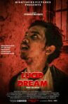 Lucid Dream Movie Streaming Online