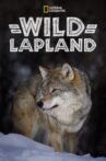 Wild Lapland Movie Streaming Online