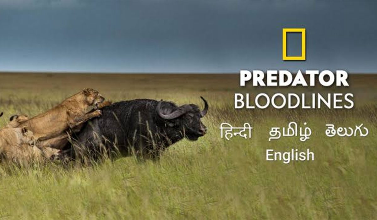 Predator Bloodlines Season 1 Hindi, Tamil, Telugu  Series Streaming