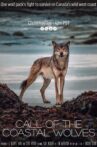 Call Of The Coastal Wolves Movie Streaming Online