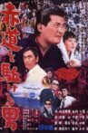 地球40度線　赤道を駈ける男 Movie Streaming Online