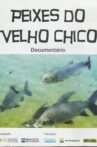 Peixes do Velho Chico Movie Streaming Online