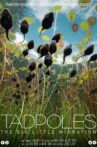 Tadpoles: The Big Little Migration Movie Streaming Online