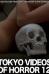 Tokyo Videos of Horror 12 Movie Streaming Online