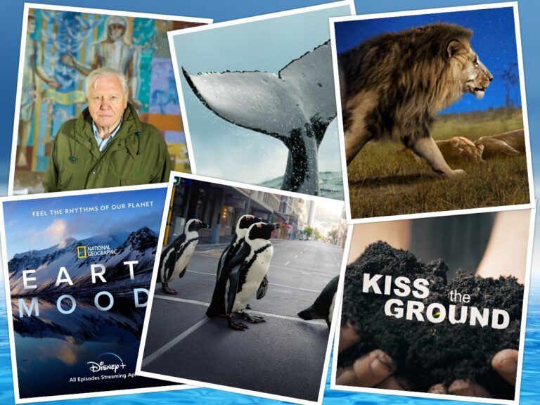 Celebrate Earth Day 2021 With These 6 Must Watch Documentaries!