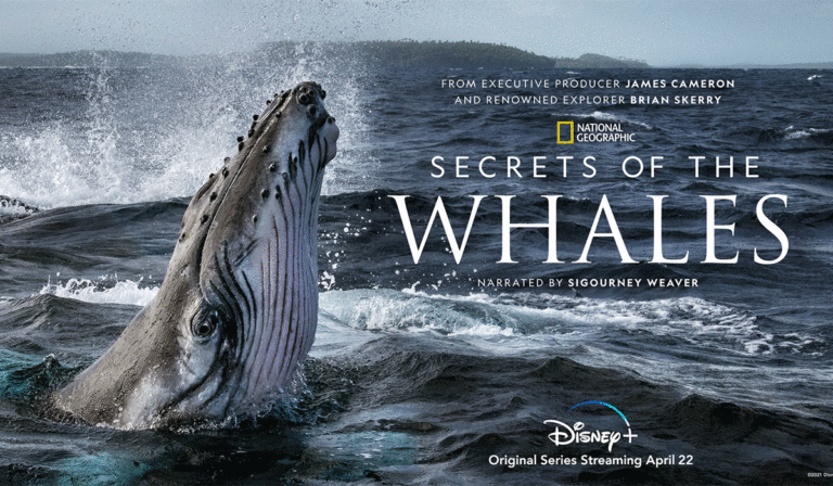 Earth Day 2021: Disney+ Bring James Cameron’s Moving Docuseries On Whales!