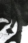 A Rough History (of the destruction of fingerprints) Movie Streaming Online