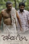 Aarkkariyam Movie Streaming Online