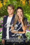 One of a Kind Love Movie Streaming Online