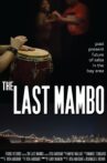 The Last Mambo Movie Streaming Online